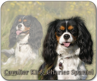 Mousepad Cavalier King Charles Spaniel #2